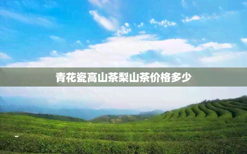 青花瓷高山茶梨山茶价格多少