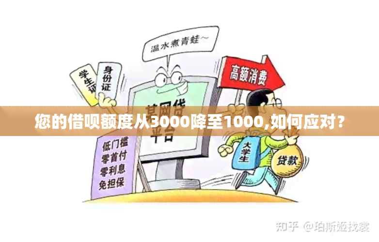 您的借呗额度从3000降至1000,如何应对？