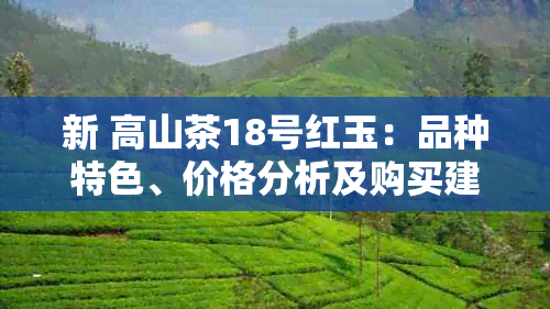 新 高山茶18号红玉：品种特色、价格分析及购买建议