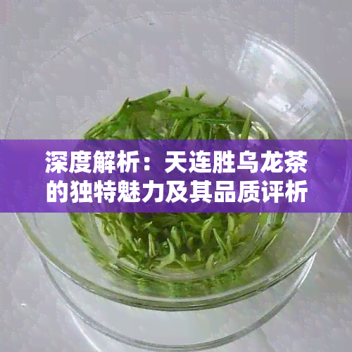 深度解析：天连胜乌龙茶的独特魅力及其品质评析