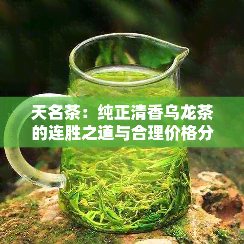 天名茶：纯正清香乌龙茶的连胜之道与合理价格分析