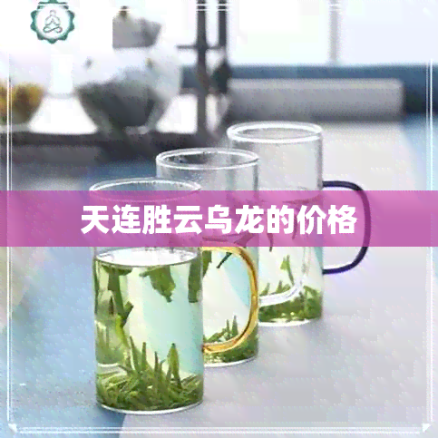 天连胜云乌龙的价格