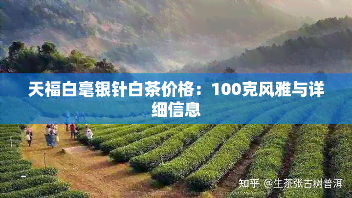 天福白毫银针白茶价格：100克风雅与详细信息