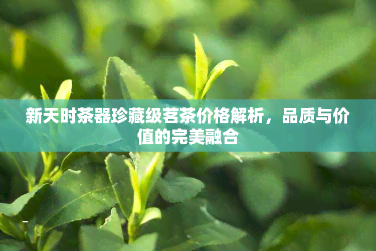 新天时茶器珍藏级茗茶价格解析，品质与价值的完美融合