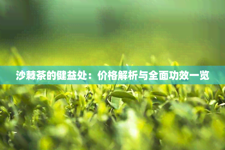 沙棘茶的健益处：价格解析与全面功效一览