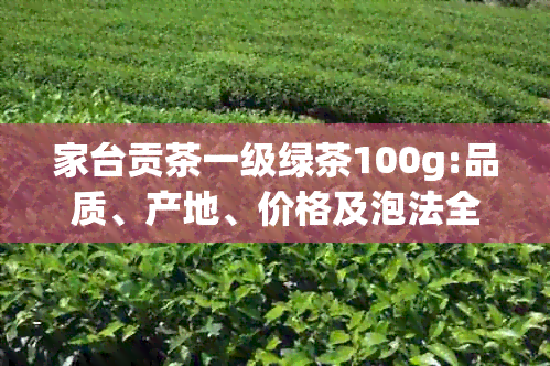 家台贡茶一级绿茶100g:品质、产地、价格及泡法全面解析