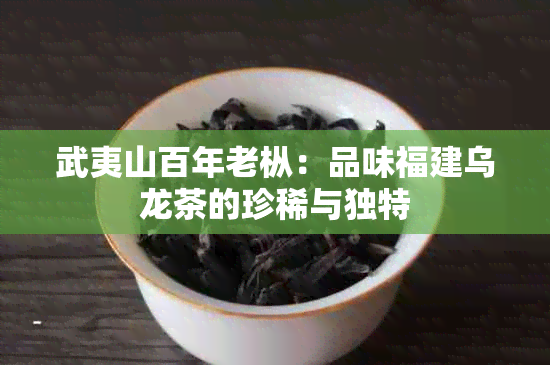 武夷山百年老枞：品味福建乌龙茶的珍稀与独特