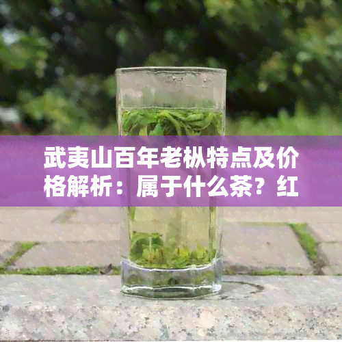 武夷山百年老枞特点及价格解析：属于什么茶？红茶品质如何？