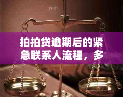 拍拍贷逾期后的紧急联系人流程，多久会收到电话？