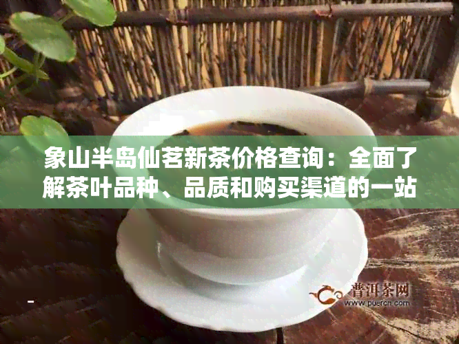 象山半岛仙茗新茶价格查询：全面了解茶叶品种、品质和购买渠道的一站式指南