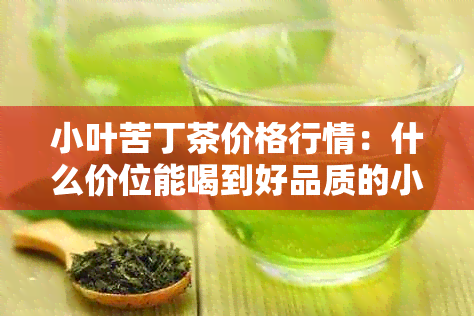 小叶苦丁茶价格行情：什么价位能喝到好品质的小叶苦丁茶？