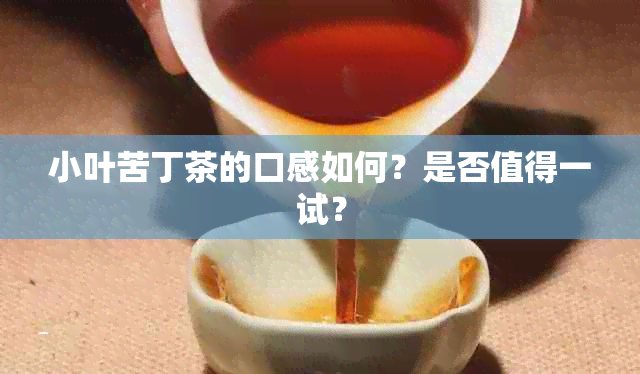 小叶苦丁茶的口感如何？是否值得一试？