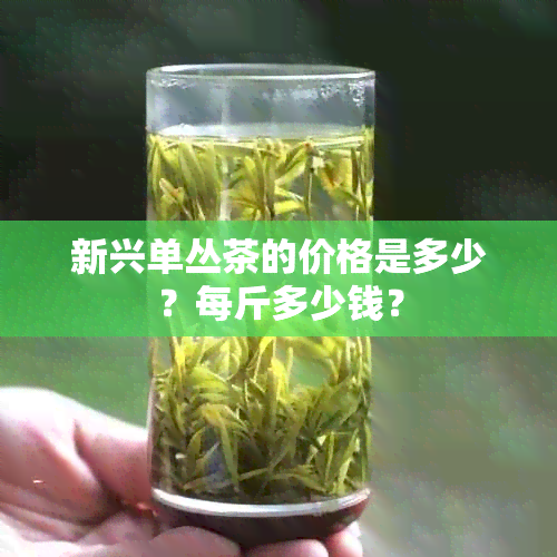 新兴单丛茶的价格是多少？每斤多少钱？