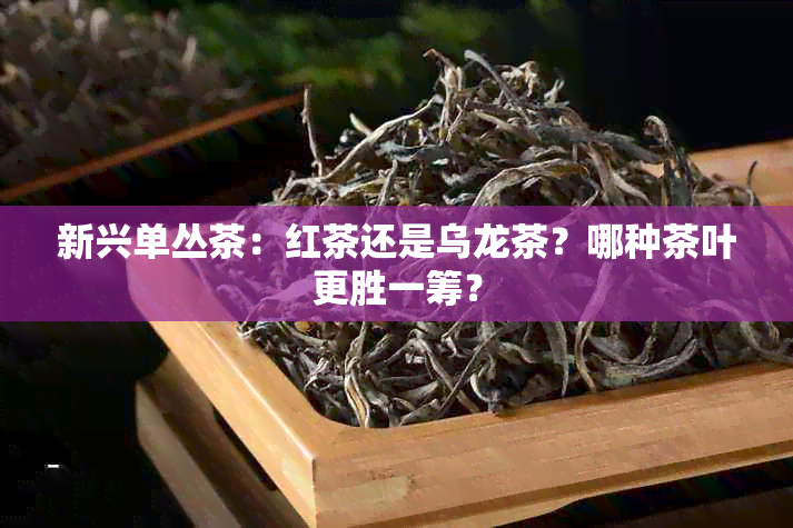 新兴单丛茶：红茶还是乌龙茶？哪种茶叶更胜一筹？