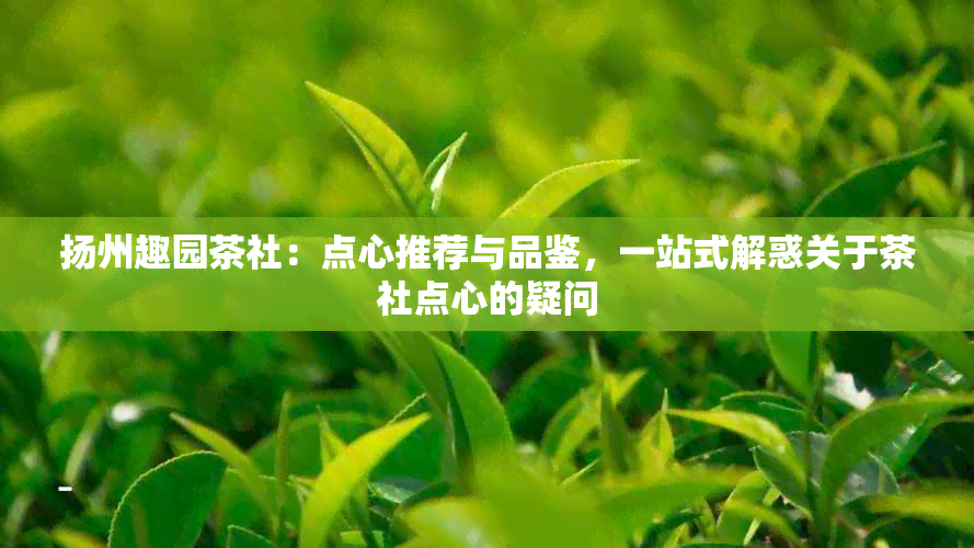 扬州趣园茶社：点心推荐与品鉴，一站式解惑关于茶社点心的疑问