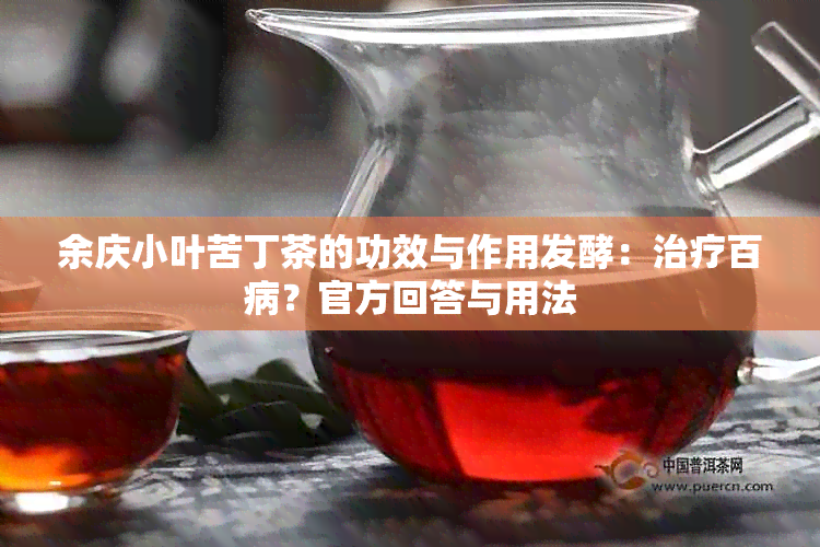 余庆小叶苦丁茶的功效与作用发酵：治疗百病？官方回答与用法