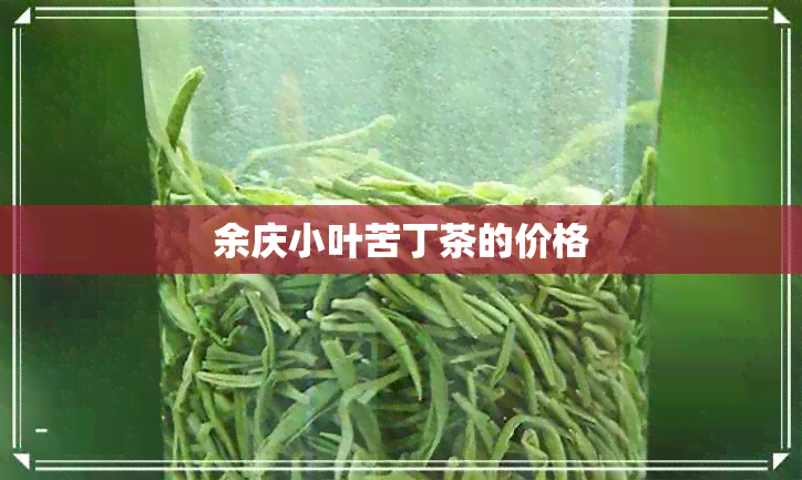 余庆小叶苦丁茶的价格