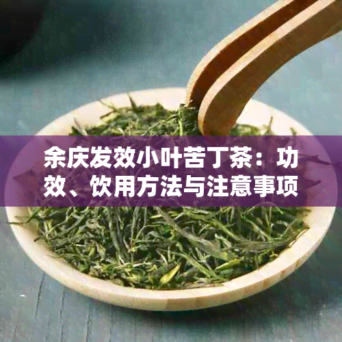 余庆发效小叶苦丁茶：功效、饮用方法与注意事项，一篇全面了解的文章