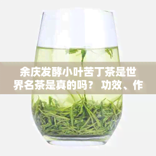 余庆发酵小叶苦丁茶是世界名茶是真的吗？ 功效、作用、治百病及效果如何？