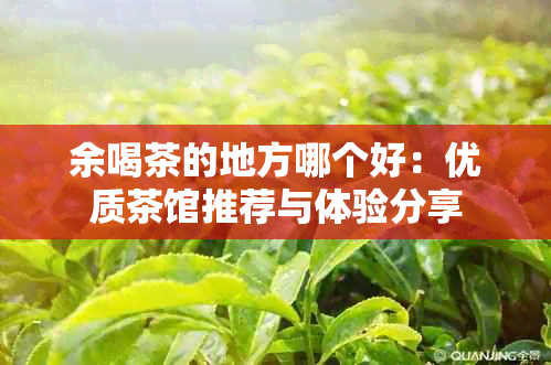 余喝茶的地方哪个好：优质茶馆推荐与体验分享