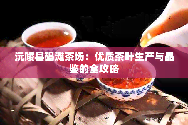 沅陵县碣滩茶场：优质茶叶生产与品鉴的全攻略