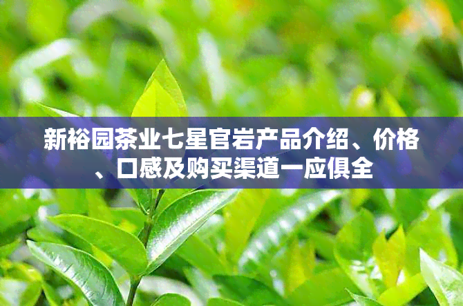 新裕园茶业七星官岩产品介绍、价格、口感及购买渠道一应俱全