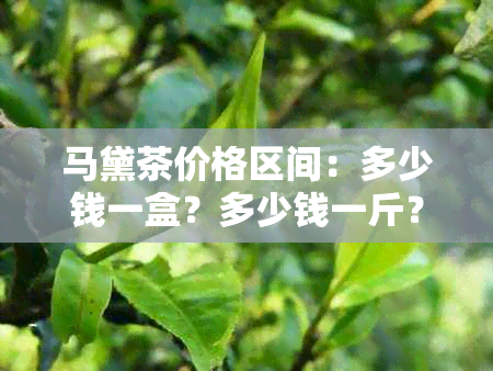 马黛茶价格区间：多少钱一盒？多少钱一斤？贵吗？