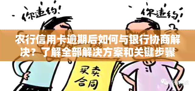 农行信用卡逾期后如何与银行协商解决？了解全部解决方案和关键步骤