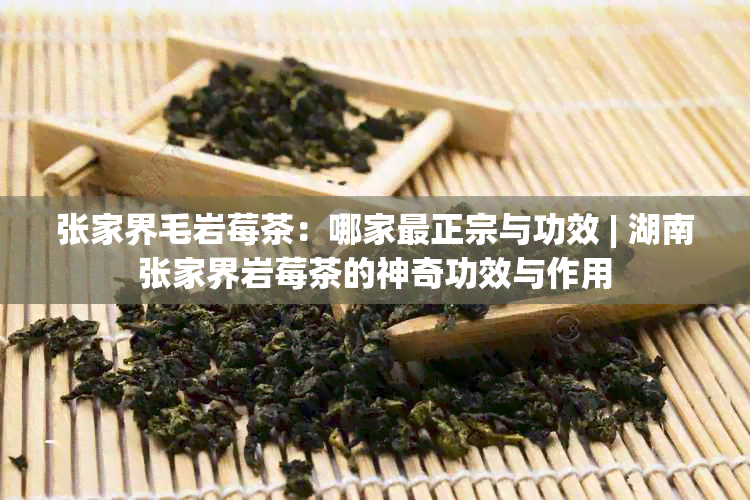 张家界毛岩莓茶：哪家最正宗与功效 | 湖南张家界岩莓茶的神奇功效与作用