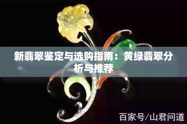 新翡翠鉴定与选购指南：黄绿翡翠分析与推荐