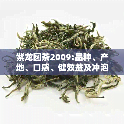 紫龙圆茶2009:品种、产地、口感、健效益及冲泡方法全方位解析