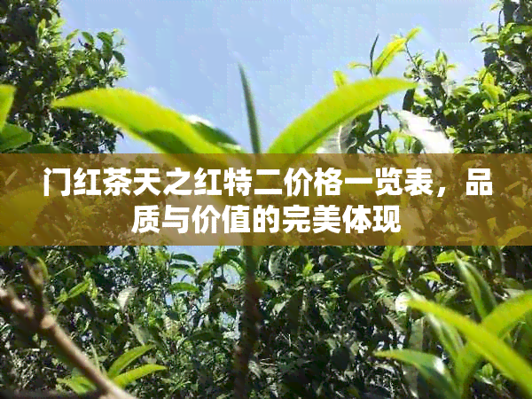 门红茶天之红特二价格一览表，品质与价值的完美体现