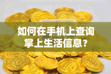 如何在手机上查询掌上生活信息？