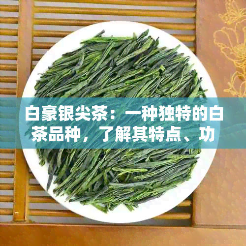 白豪银尖茶：一种独特的白茶品种，了解其特点、功效与冲泡方法