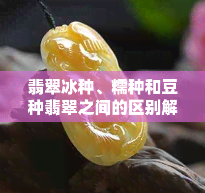 翡翠冰种、糯种和豆种翡翠之间的区别解析：选购指南与实际案例分析