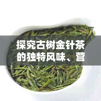 探究古树金针茶的独特风味、营养价值及其在健方面的益处