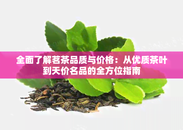 全面了解茗茶品质与价格：从优质茶叶到天价名品的全方位指南