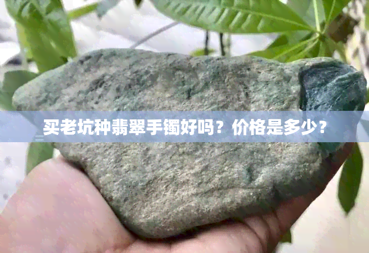 买老坑种翡翠手镯好吗？价格是多少？