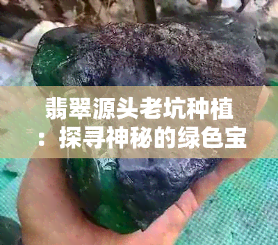 翡翠源头老坑种植：探寻神秘的绿色宝石产地及发展历程