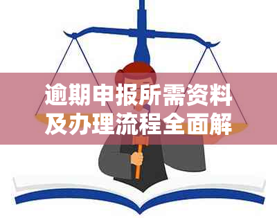 逾期申报所需资料及办理流程全面解析，助您快速完成申报