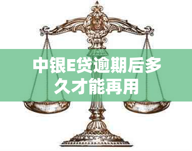 中银E贷逾期后多久才能再用