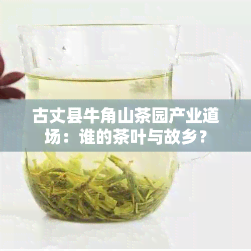 古丈县牛角山茶园产业道场：谁的茶叶与故乡？