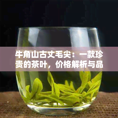 牛角山古丈毛尖：一款珍贵的茶叶，价格解析与品鉴指南