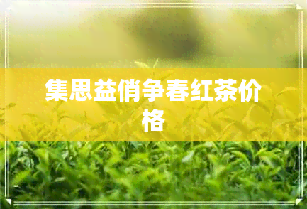 集思益俏争春红茶价格