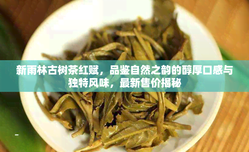 新雨林古树茶红赋，品鉴自然之韵的醇厚口感与独特风味，最新售价揭秘