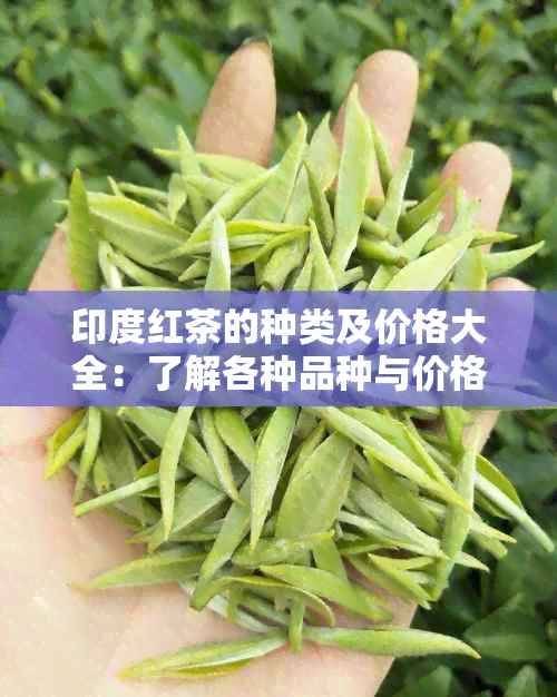 印度红茶的种类及价格大全：了解各种品种与价格，品味红茶之美。