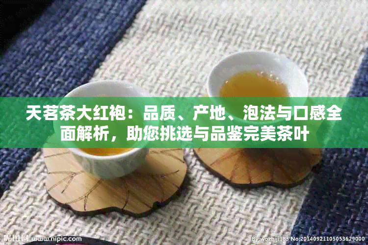 天茗茶大红袍：品质、产地、泡法与口感全面解析，助您挑选与品鉴完美茶叶