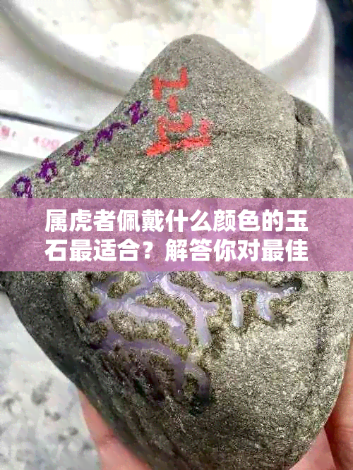 属虎者佩戴什么颜色的玉石最适合？解答你对更佳选择的疑问