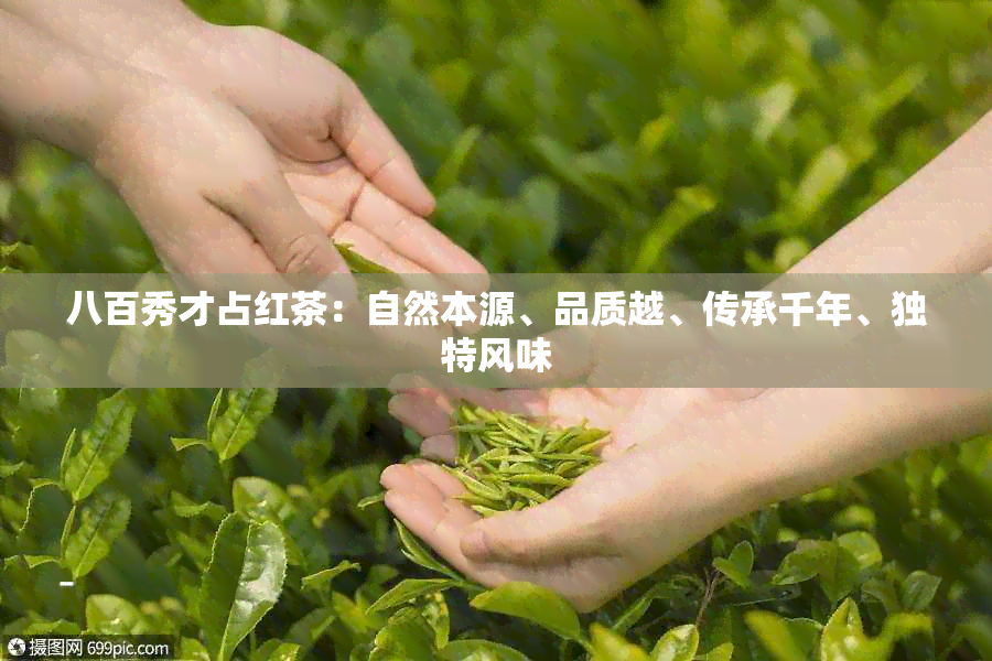 八百秀才占红茶：自然本源、品质越、传承千年、独特风味