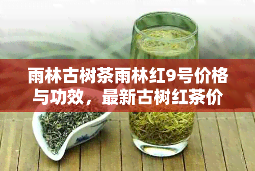 雨林古树茶雨林红9号价格与功效，最新古树红茶价格表与作用解析